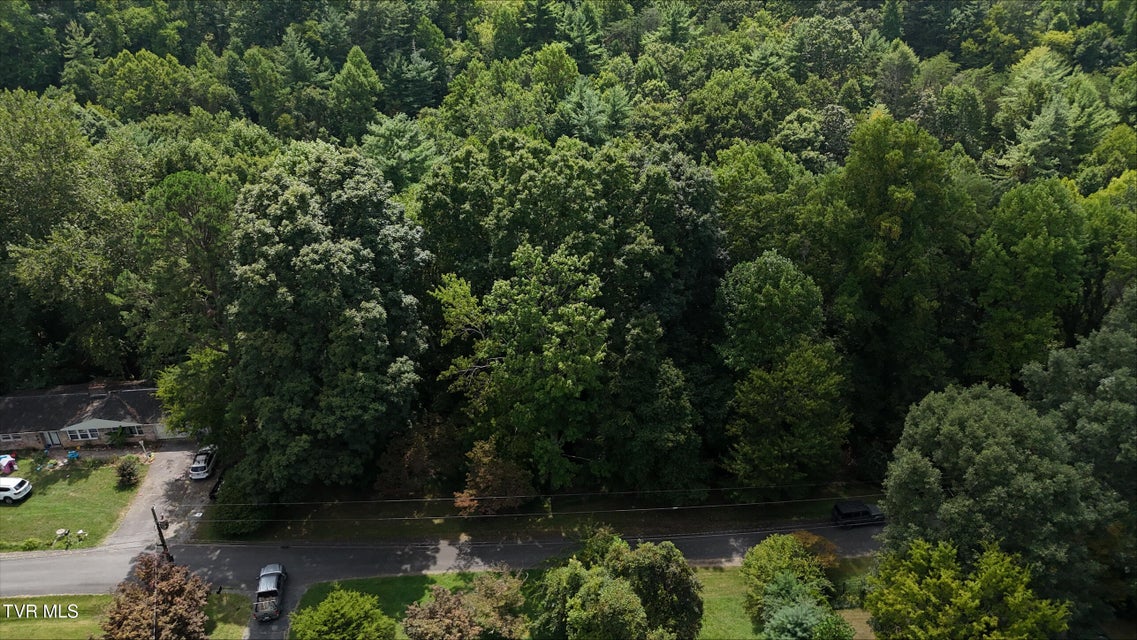 Photo #12: Tr 15.01 Pine Forest Lane