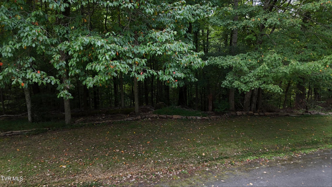 Photo #14: Tr 15.01 Pine Forest Lane