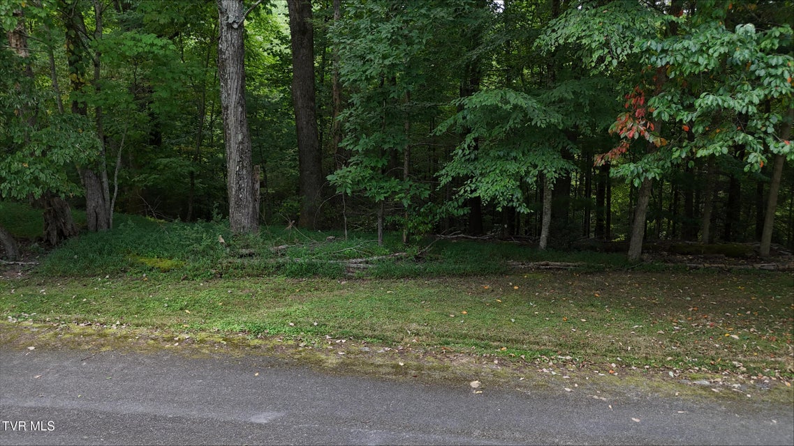 Photo #20: Tr 15.01 Pine Forest Lane