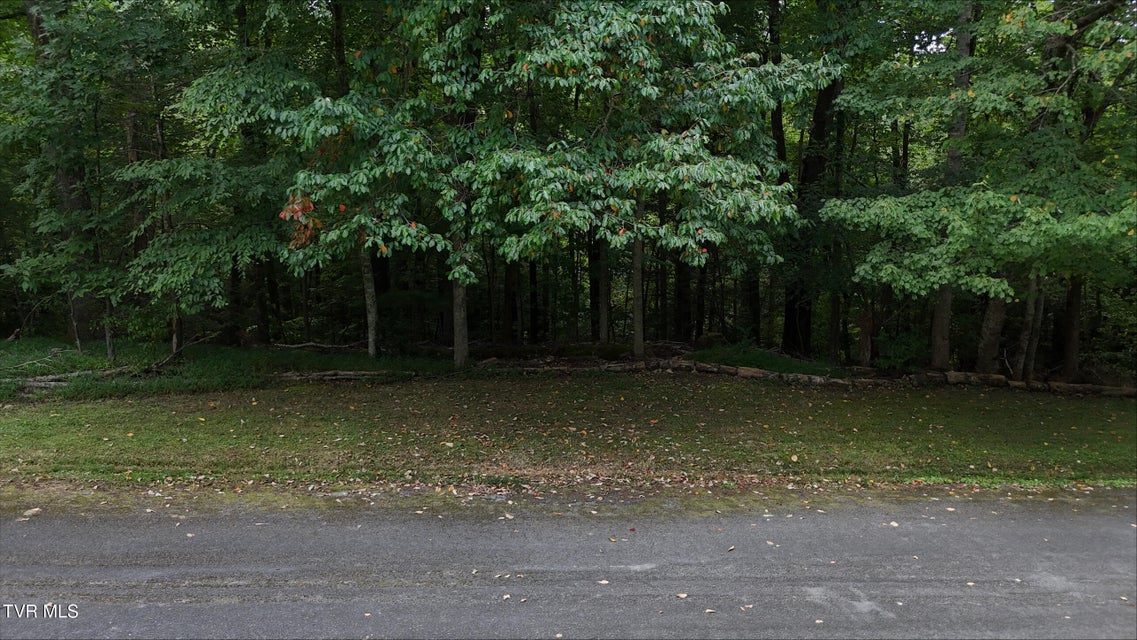 Photo #22: Tr 15.01 Pine Forest Lane