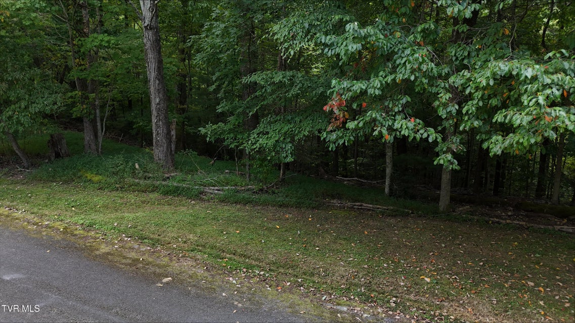 Photo #24: Tr 15.01 Pine Forest Lane