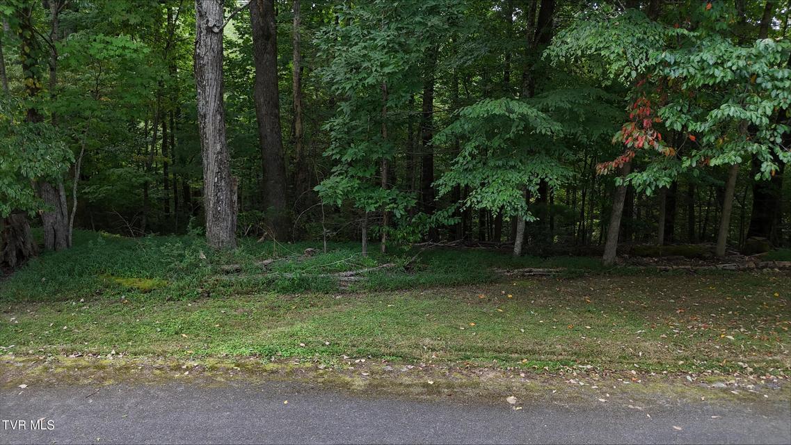 Photo #27: Tr 15.01 Pine Forest Lane