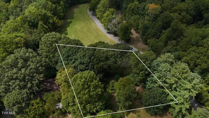 Photo #30: Tr 15.01 Pine Forest Lane