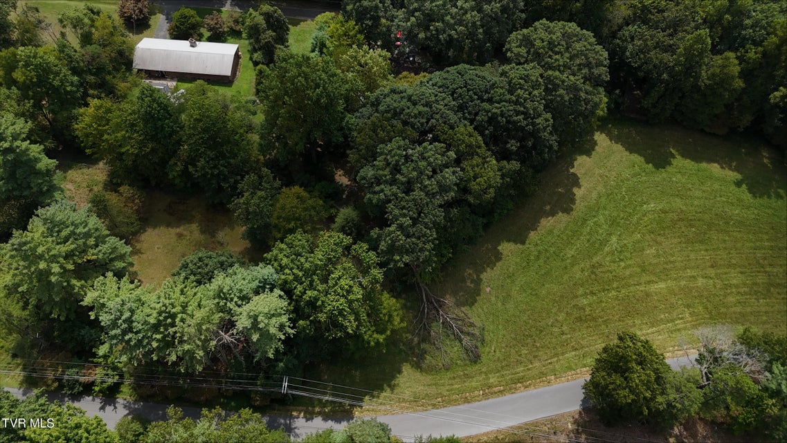 Photo #33: Tr 15.01 Pine Forest Lane