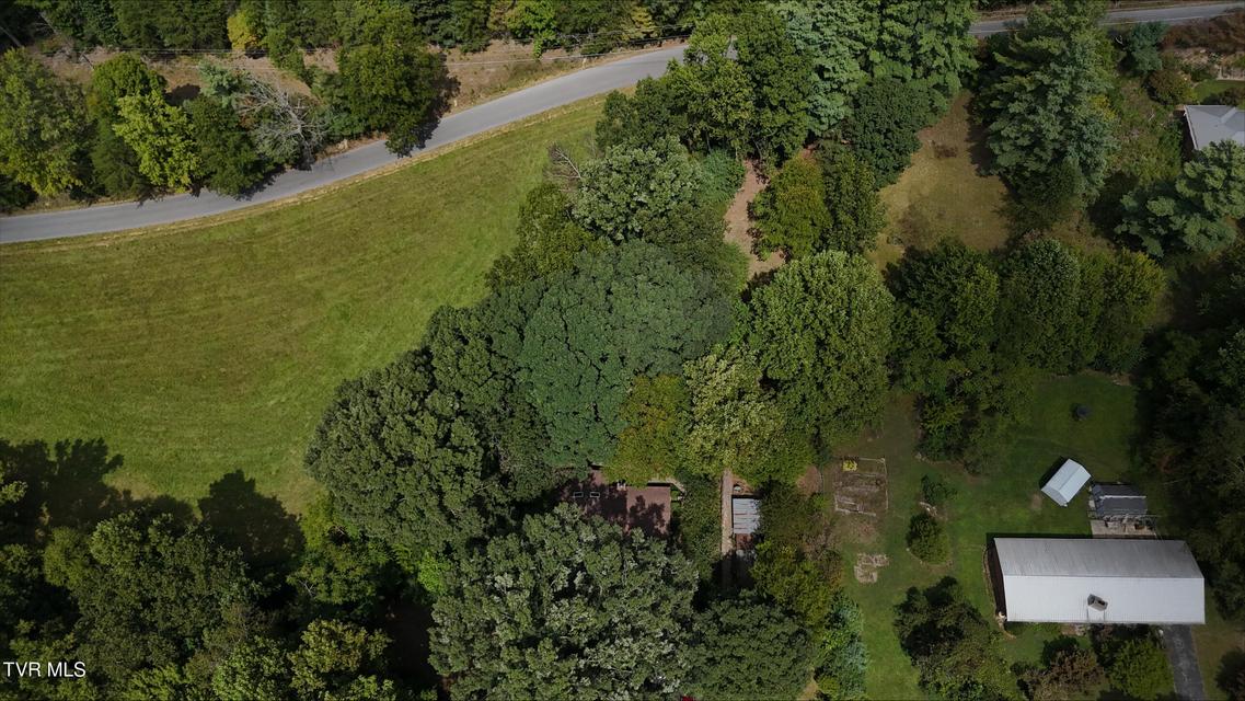 Photo #36: Tr 15.01 Pine Forest Lane