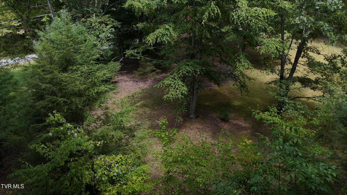 Photo #37: Tr 15.01 Pine Forest Lane