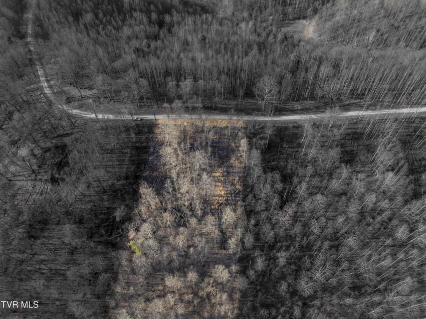 Photo #2: Lot 52 Summerfield Drive