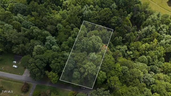 Photo #3: Tr 15 Pine Forest Lane