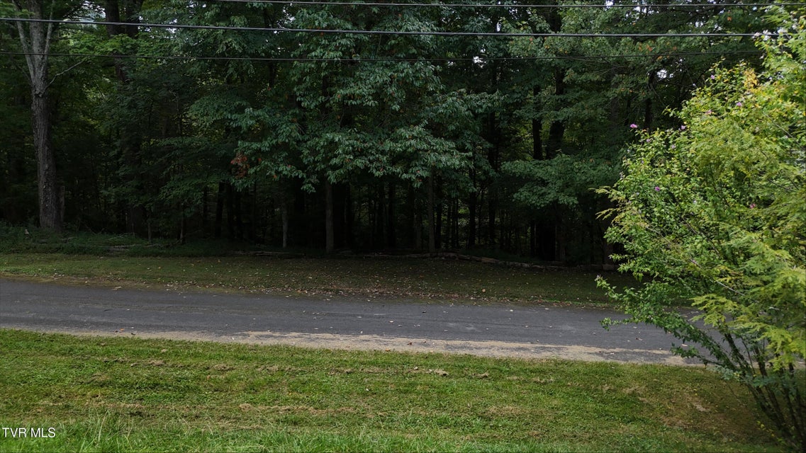 Photo #15: Tr 15 Pine Forest Lane