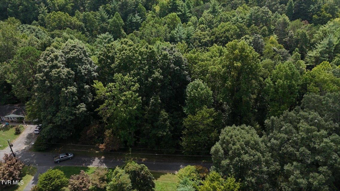 Photo #16: Tr 15 Pine Forest Lane