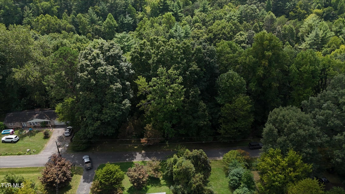 Photo #19: Tr 15 Pine Forest Lane