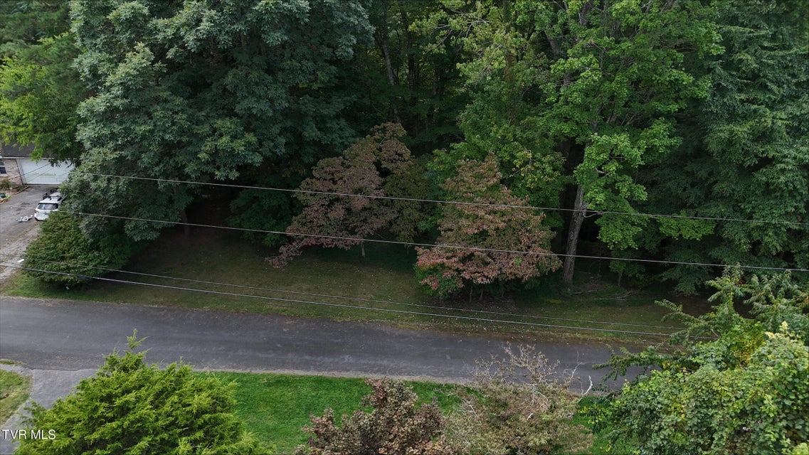 Photo #21: Tr 15 Pine Forest Lane