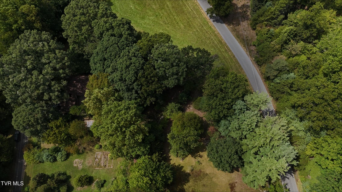 Photo #38: Tr 15 Pine Forest Lane