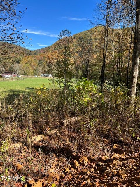 Photo #17: 724 Dry Creek Road