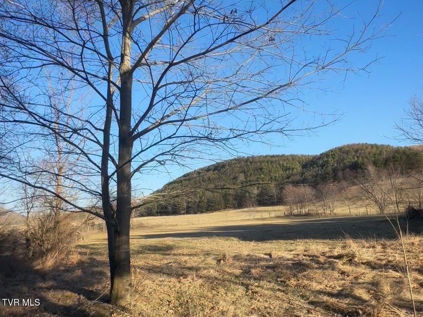 Photo #4: 776 Teas Road