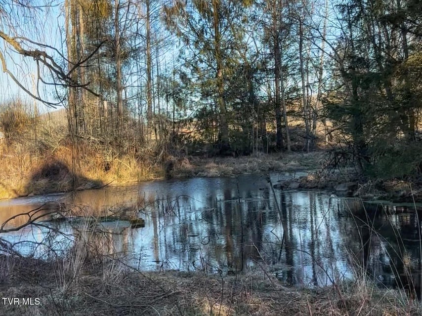 Photo #3: 776 Teas Road