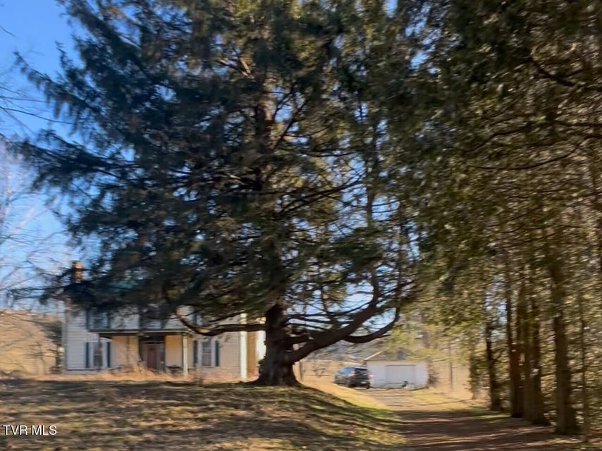 Photo #6: 776 Teas Road