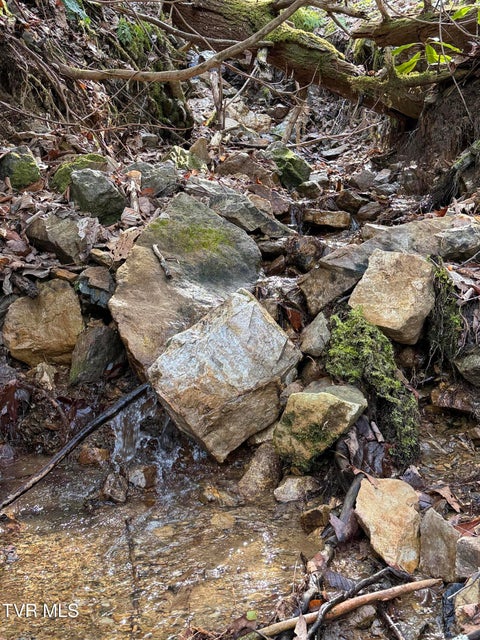 Photo #3: Tbd Highway 421 