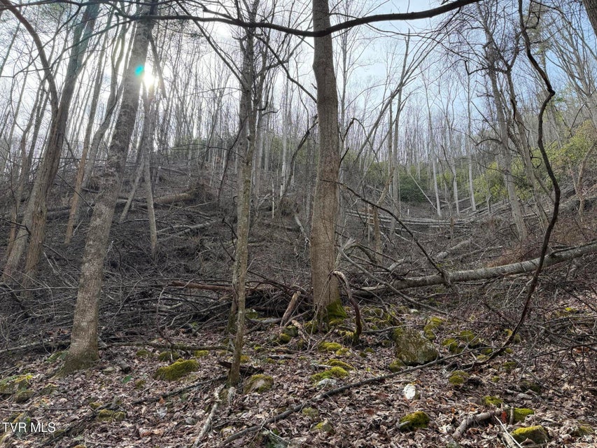 Photo #7: Tbd Highway 421 