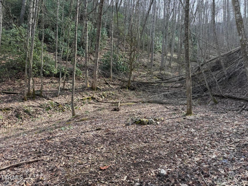 Photo #8: Tbd Highway 421 