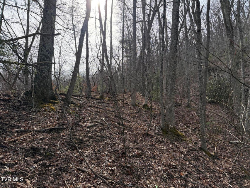 Photo #10: Tbd Highway 421 