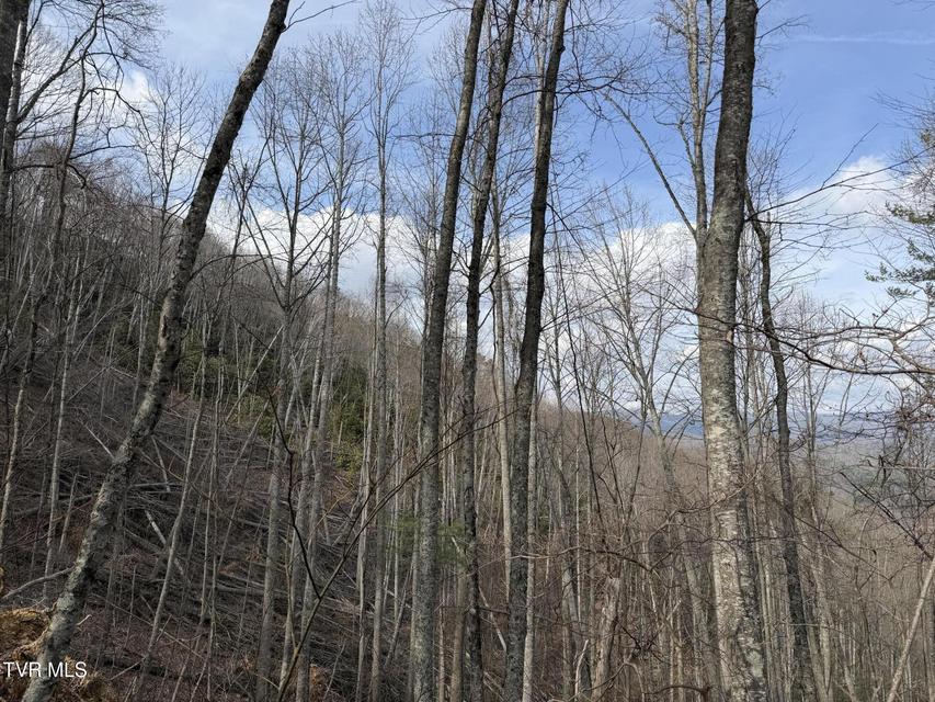 Photo #13: Tbd Highway 421 