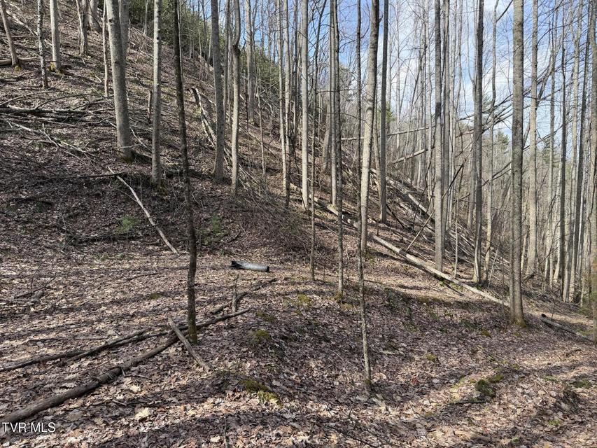 Photo #16: Tbd Highway 421 