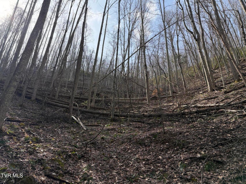 Photo #17: Tbd Highway 421 