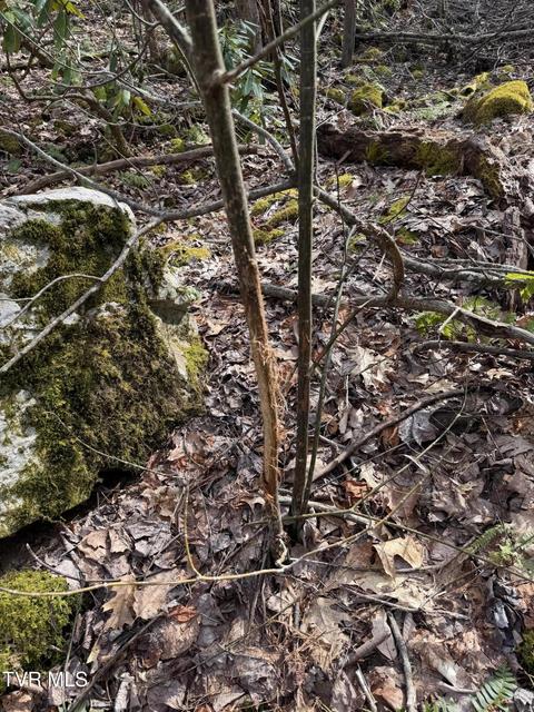 Photo #20: Tbd Highway 421 