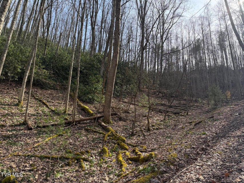 Photo #19: Tbd Highway 421 