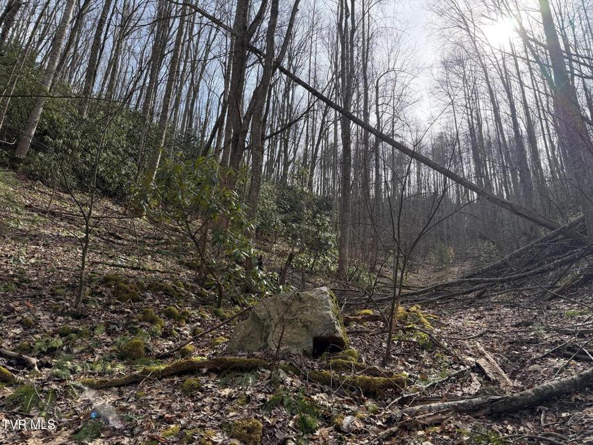 Photo #21: Tbd Highway 421 