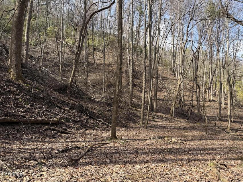 Photo #22: Tbd Highway 421 