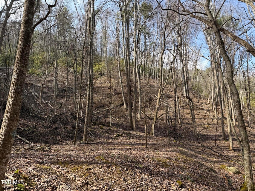 Photo #23: Tbd Highway 421 