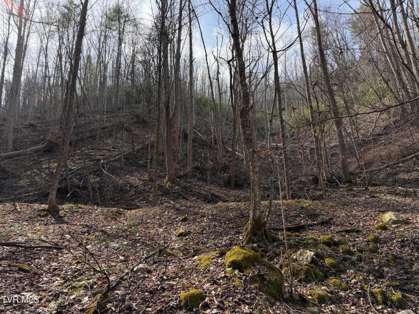 Photo #24: Tbd Highway 421 