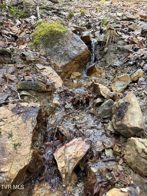 Photo #27: Tbd Highway 421 