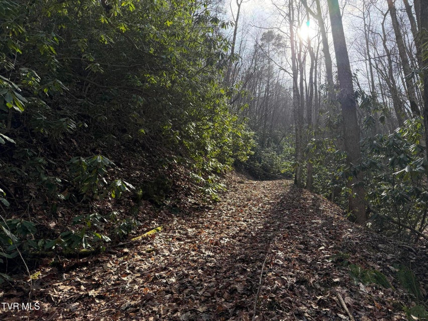 Photo #28: Tbd Highway 421 