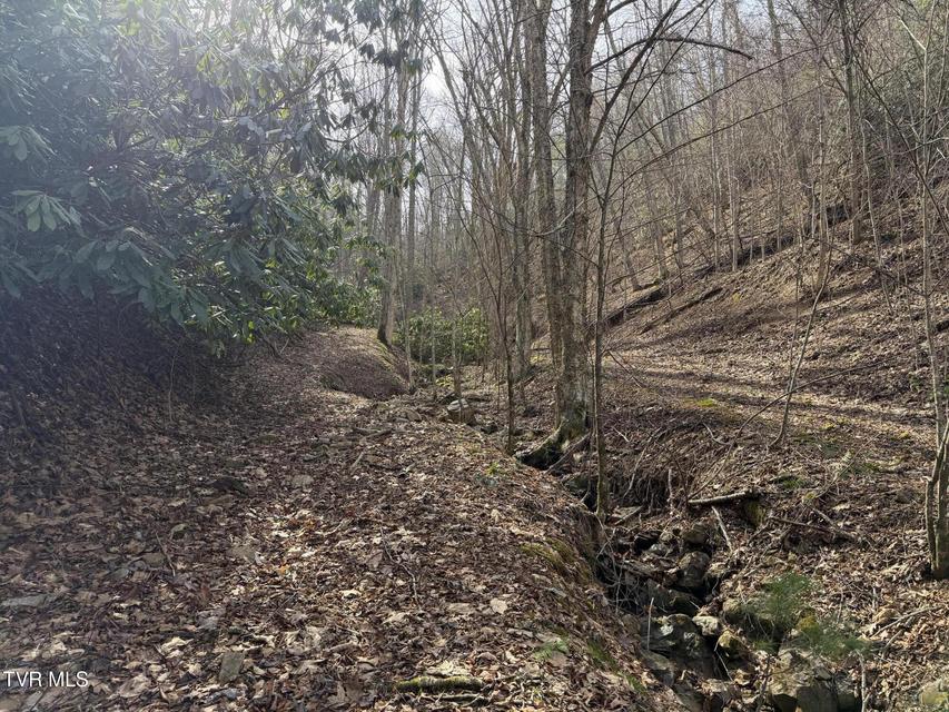 Photo #29: Tbd Highway 421 