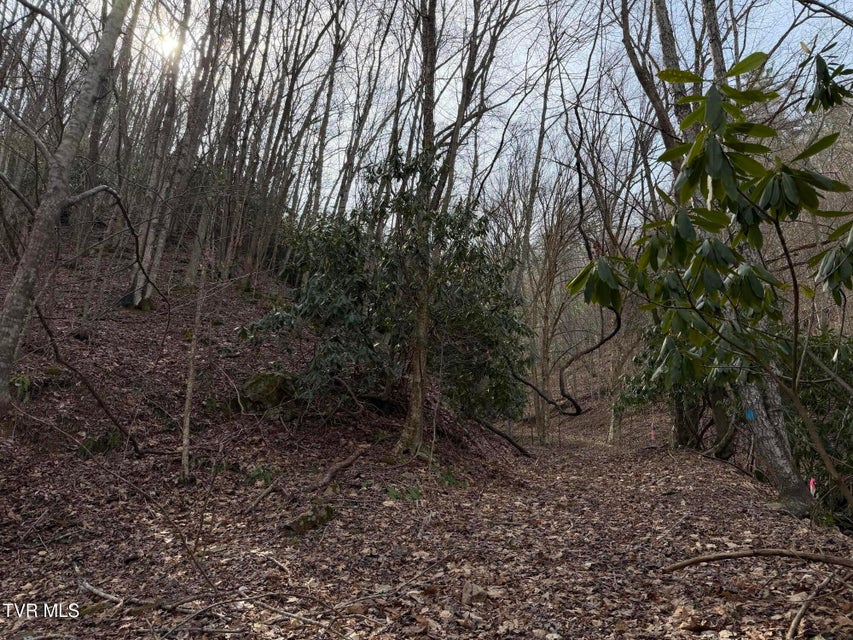 Photo #30: Tbd Highway 421 