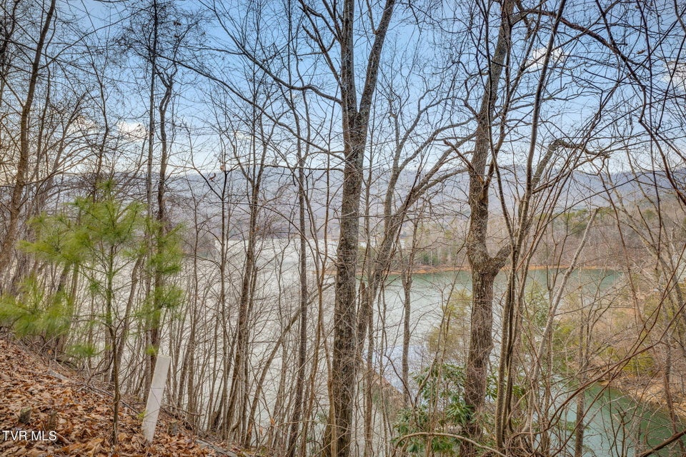 Photo #2: Tbd Bluestone Drive