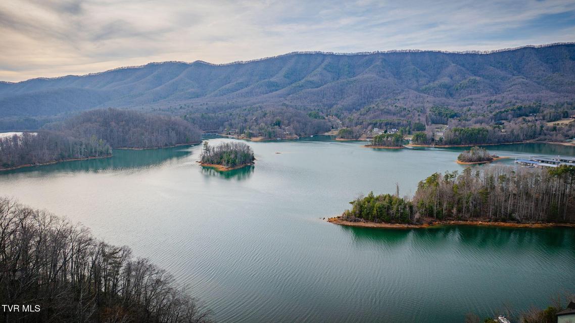 Photo #11: Tbd Bluestone Drive