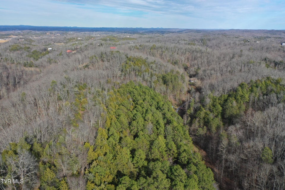 Photo #31: 2534 Muddy Hollow 