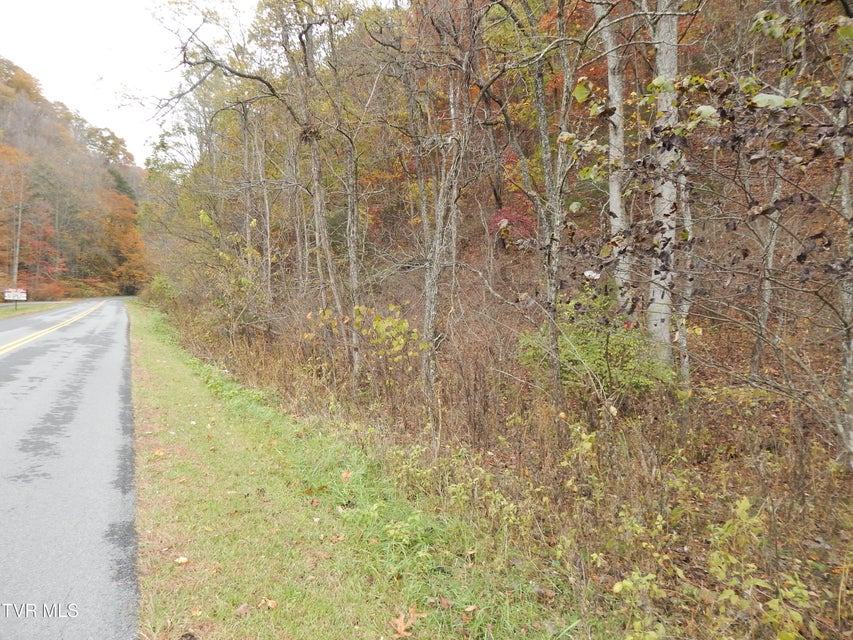 Photo #9: Tbd Spoon Gap Road