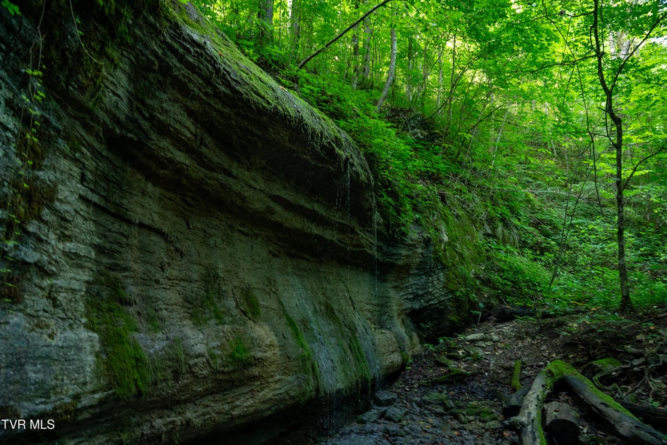 Photo #9: 1335 Ben Bloomer Road