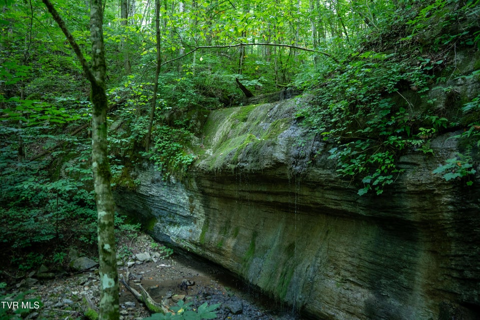 Photo #10: 1335 Ben Bloomer Road