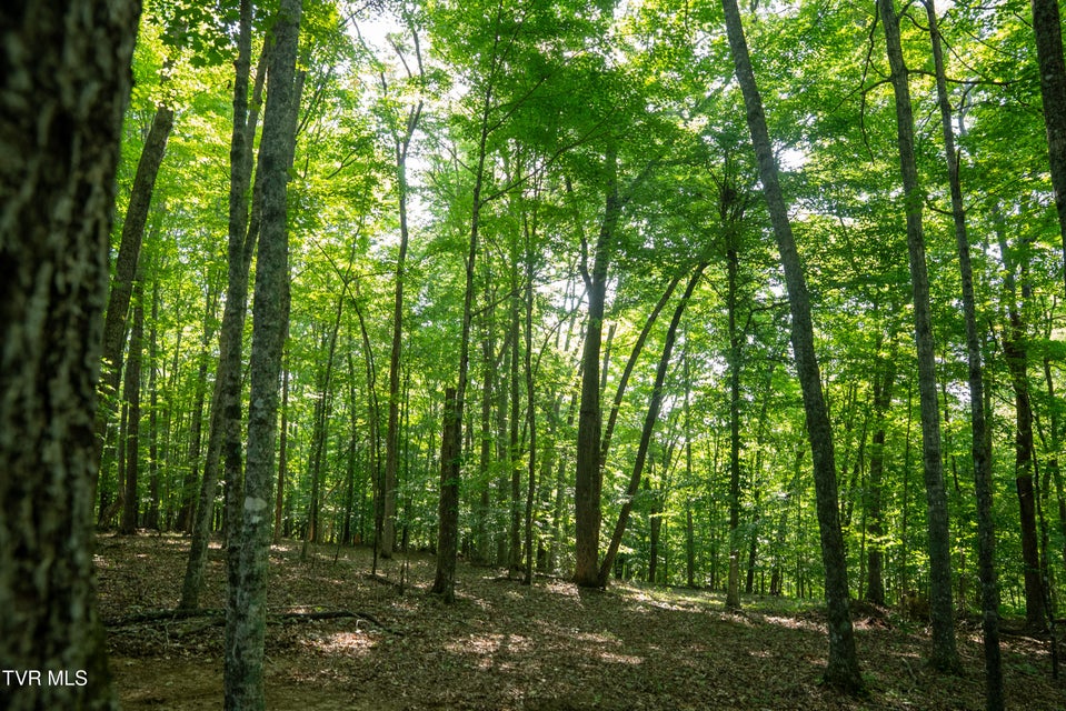 Photo #12: 1335 Ben Bloomer Road