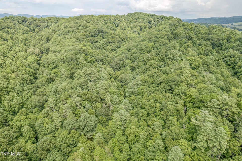 Photo #7: 7519 Wolf Run Road