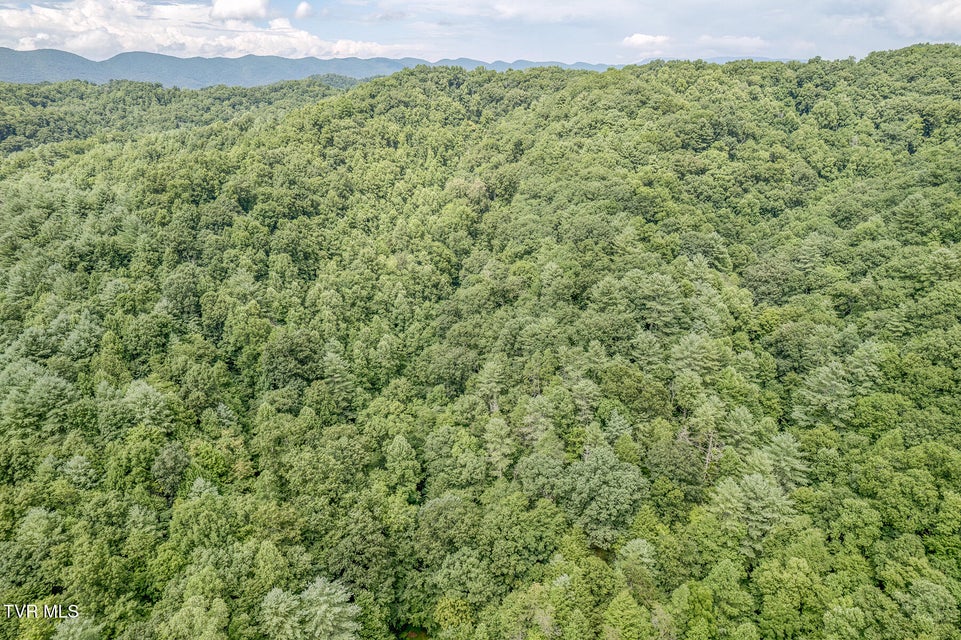 Photo #8: 7519 Wolf Run Road