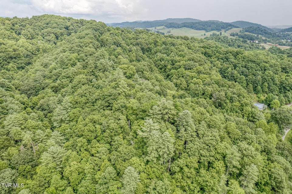 Photo #9: 7519 Wolf Run Road