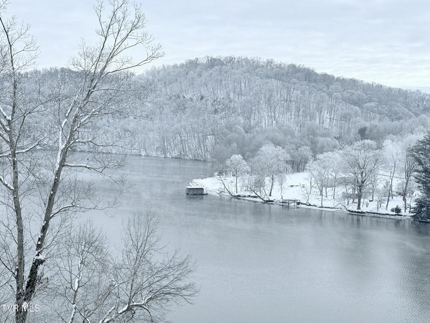 Photo #11: 1458 Shipley Ferry Road