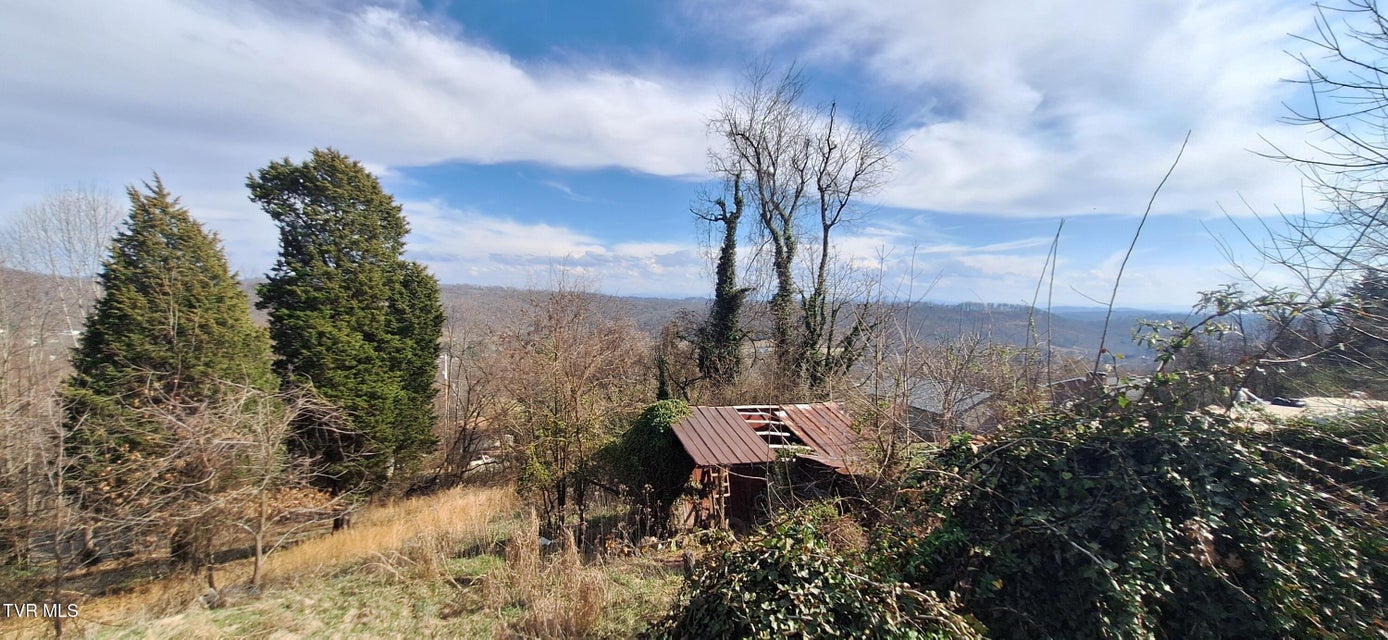 Photo #42: 4197 Skyland Drive